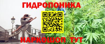 Альфа ПВП Аргун