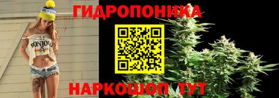 Альфа ПВП Аргун